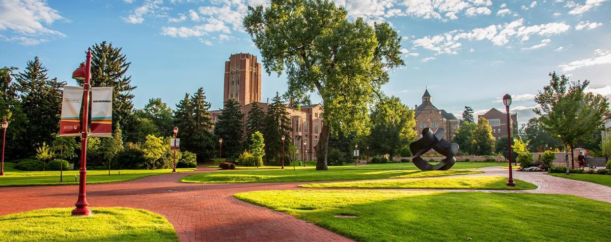 Campus grounds during the Summer